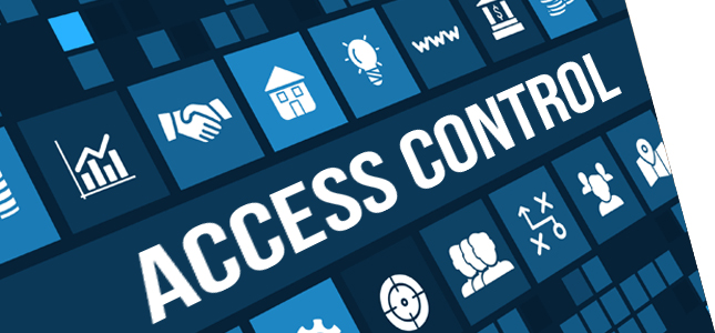 SAP Access Controls